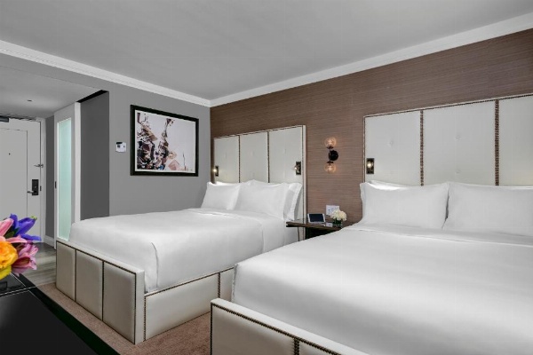 Executive Class at MTS Hotel image 17